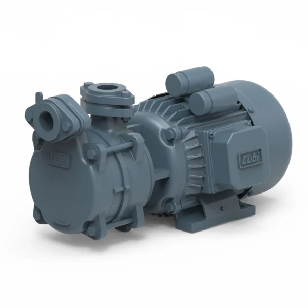 Lubi Pumps dealer in Mohali