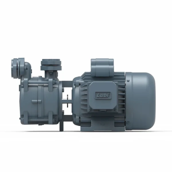 Lubi Pumps dealer in Mohali